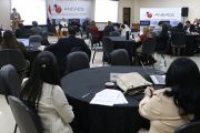 Comitiva de la UNE participó de taller en la ANEAES